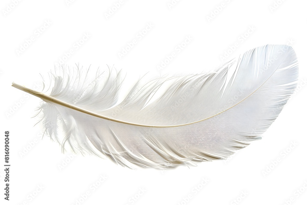 Fototapeta premium A single white feather on plain surface