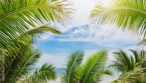 palm sunday concept green palm tree leaves on natural sky