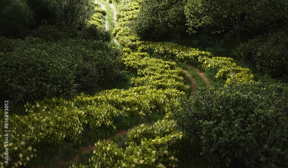 Fototapeta premium A narrow, partly overgrown path through the semi-darkness of a forest, flowering bushes frame the path - 3d illustration