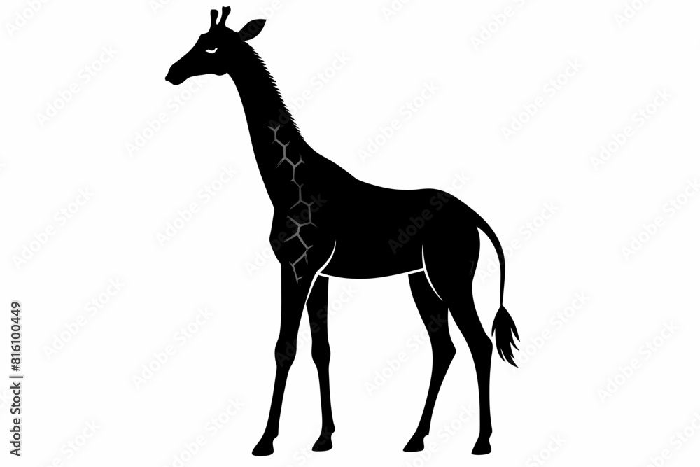 Fototapeta premium A giraffe silhouette black vector artwork illustration 