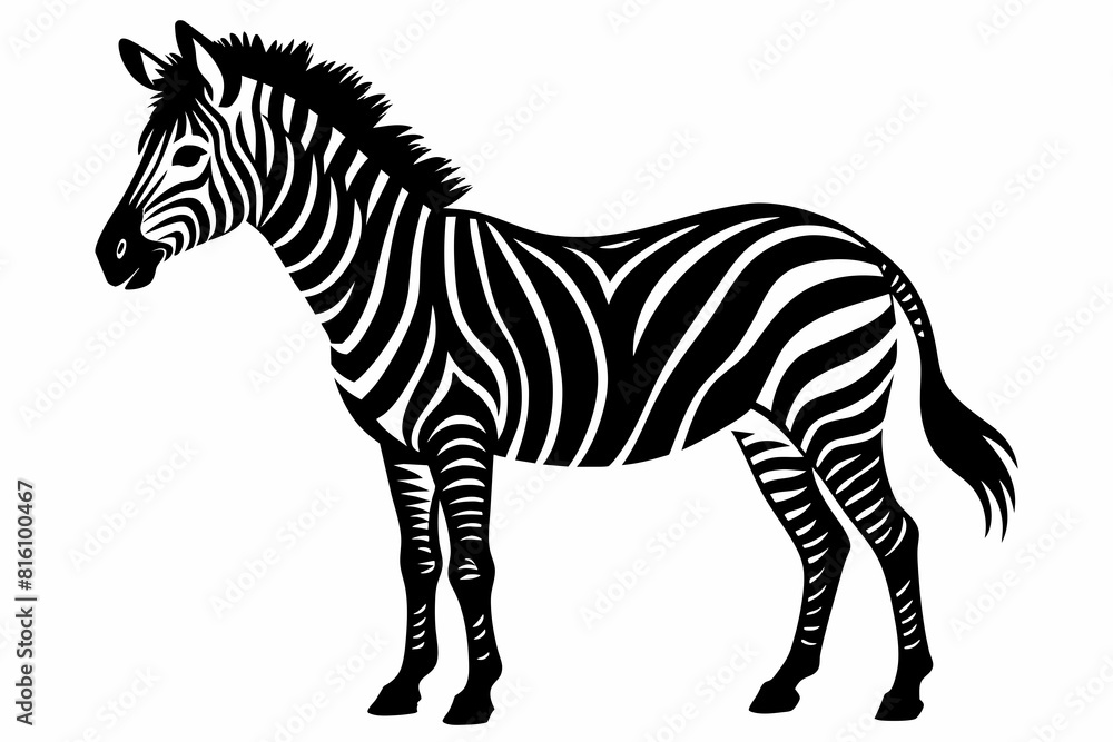 A zebra silhouette black vector artwork illustration A zebra silhouette black vector artwork illustration