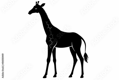  A giraffe silhouette black vector artwork illustration 