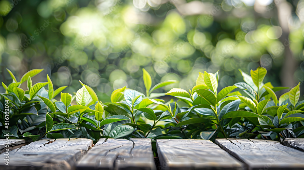 Empty wooden table or wooden desk with tea plantation nature background with green leaves as frame Product display natural background concept : Generative AI Empty wooden table or wooden desk with tea plantation nature background with green leaves as frame Product display natural background concept : Generative AI