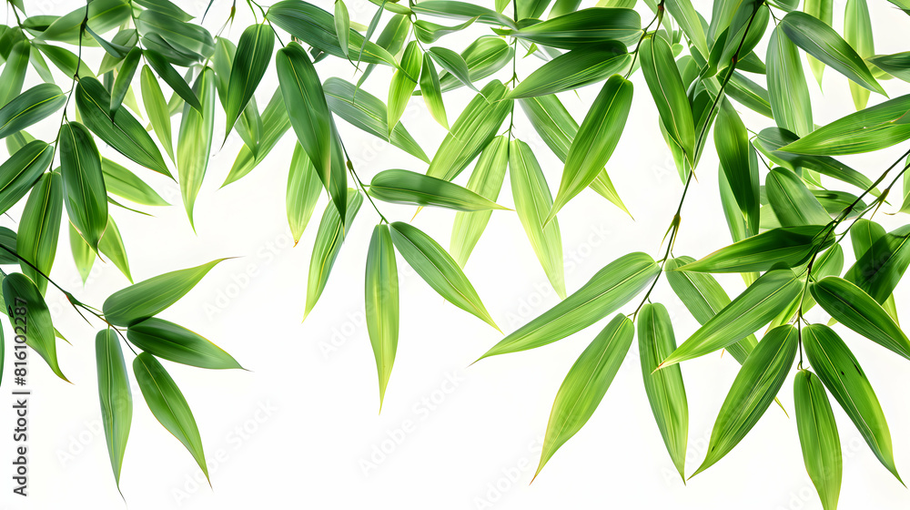 Sleek Bamboo Leaf Isolated on White Background Vibrant Green Color Ideal for Zen Garden or Sustainable Themed Content Photo Realistic Image Capturing the Narrow Lance Shaped St Sleek Bamboo Leaf Isolated on White Background Vibrant Green Color Ideal for Zen Garden or Sustainable Themed Content Photo Realistic Image Capturing the Narrow Lance Shaped St