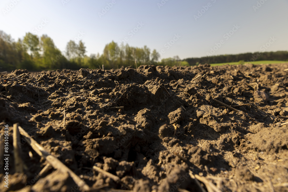 preparing the soil for sowing in spring preparing the soil for sowing in spring