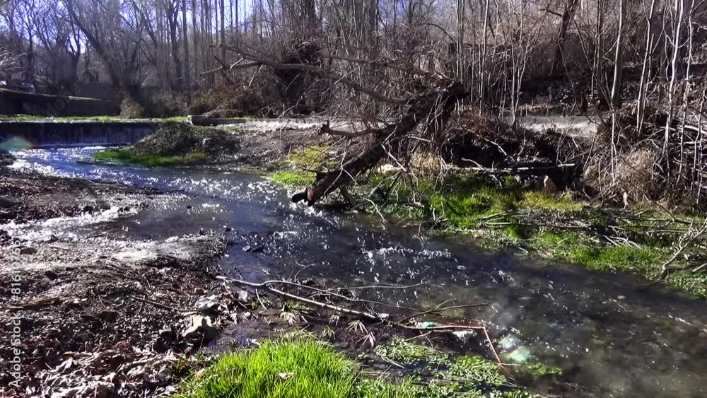 a forest river meandering under a small broken tree, weaving through the barren jungle landscape, creating lush green pockets. a forest river meandering under a small broken tree, weaving through the barren jungle landscape, creating lush green pockets.