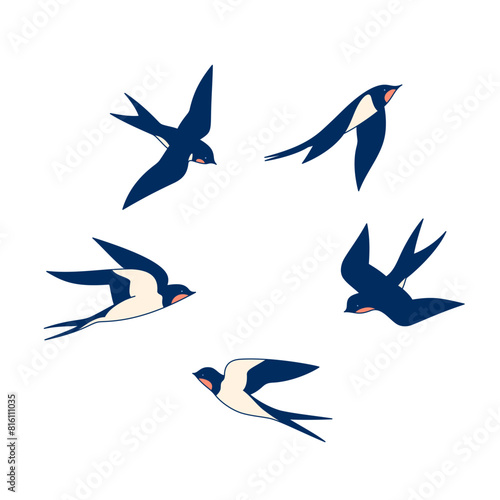 Swallows in flight isolated on a white background.