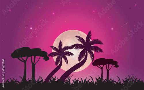 Beautiful sunset evening moment design night landscape