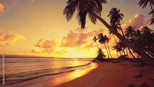 Picturesque summer sunset in the Maldives. Amazing sunset landscape. Luxurious palm trees over the sea under a colorful sky. Dream sunset over the tropical sea, fantastic nature landscape.