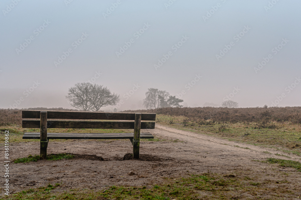 Bench on the edge of the heath to enjoy the beauty of nature and reflect on the day Bench on the edge of the heath to enjoy the beauty of nature and reflect on the day