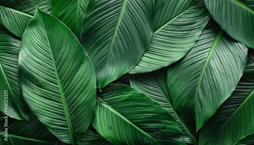 abstract green leaf texture  nature background  tropical leaf. AI generated