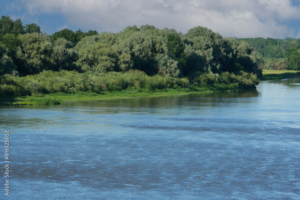 River bank with lush vegetation of bushes, trees, grass.