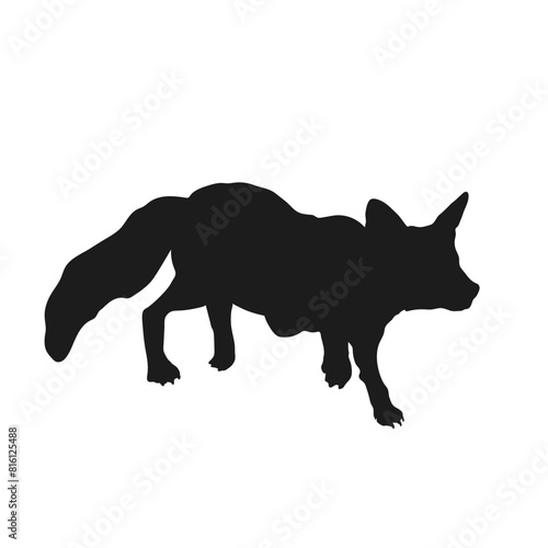 Isolated fox silhouette. Forest wild animal icon. Animal black drawing. Wildlife print. Coyote tattoo