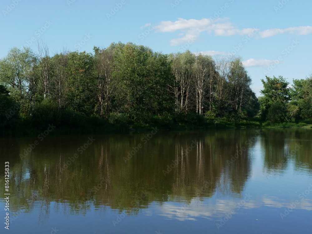 Forest bank of a river during the day in good weather.