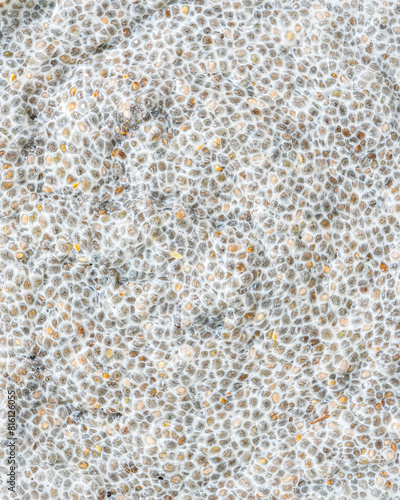 Chia seed pudding closeup macro food photography