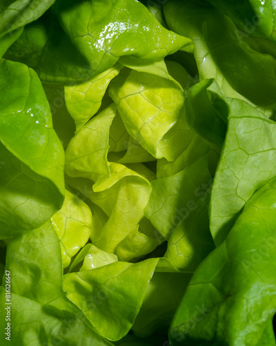 center leaves of a head of butter lettuce