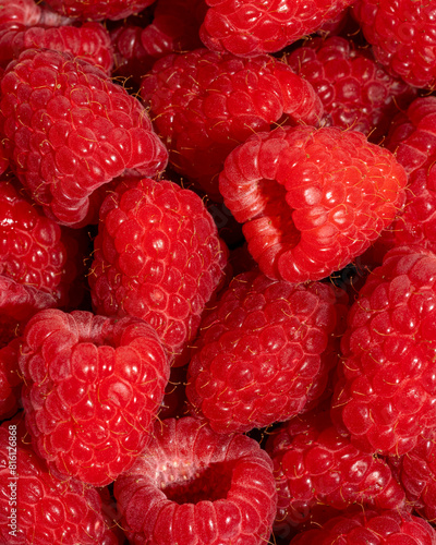 Macro image of large fuzzy raspberries