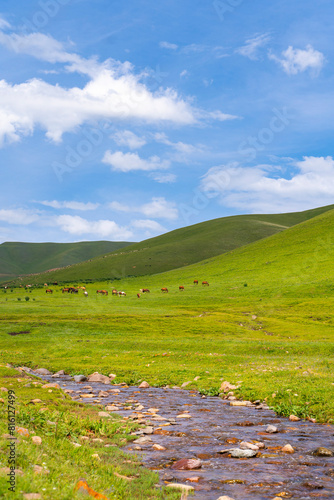 Beautiful nature of Kazakhstan on the Assy plateau in summer. Mountain river, green hills and grazing horses