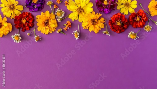 Colorful Assortment Of Flowers On A Purple Background.