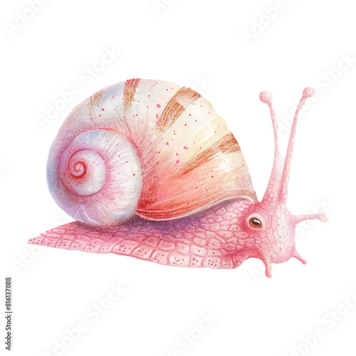 watercolor of snail white background (7)