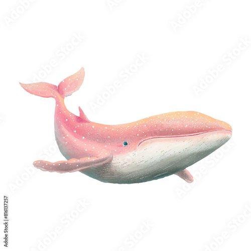 whale flying in sky white background (21)