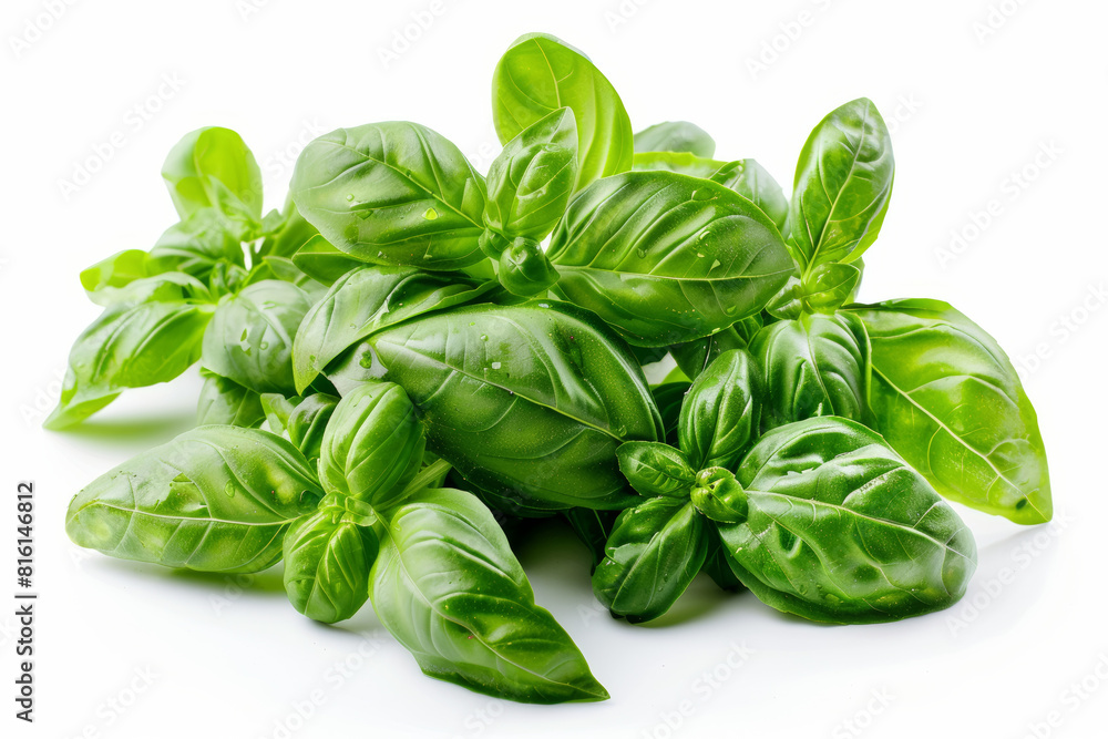 A bunch of fragrant basil leaves isolated on a white surface, showcasing their aromatic scent and culinary versatility. Concept of herb garden and Italian cuisine. Generative Ai. A bunch of fragrant basil leaves isolated on a white surface, showcasing their aromatic scent and culinary versatility. Concept of herb garden and Italian cuisine. Generative Ai.