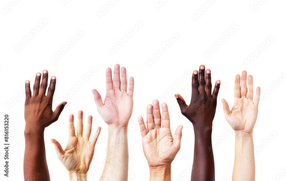 Diverse raised hands of different skin tones. Many hands up isolated on white background Diverse raised hands of different skin tones. Many hands up isolated on white background