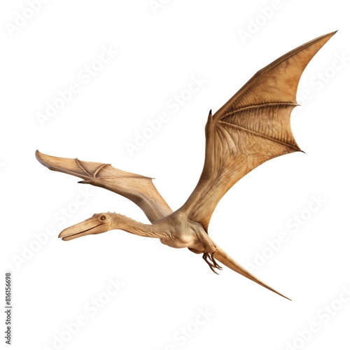 Flying Pterosaur Against White Background, Jurassic Era Animal