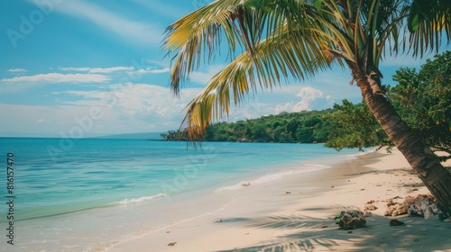 White Sandy Beach With Palm Trees and Blue Water