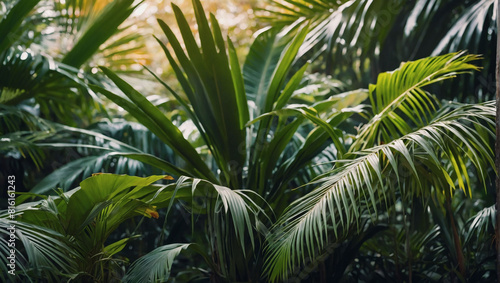 Tropical Tranquility  Close-Up View of Lush Greenery and Palms  Flat Lay Composition.