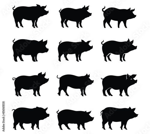 set of Silhouette pig vector illustration. photo
