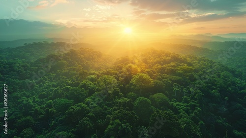 AI Generated. AI Generative. Beautiful green amazon forest landscape at sunset sunrise. Adventure explore air dron view vibe. Graphic Art hyper realistic 