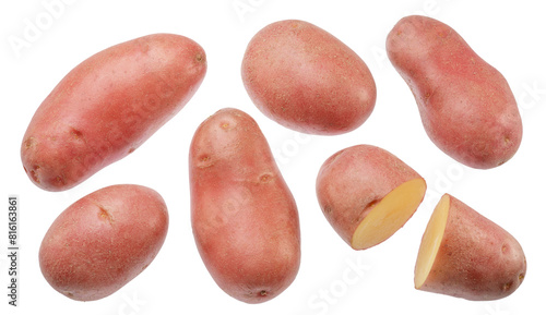 Set of red-skinned potatos on white background. File contains clipping path. photo