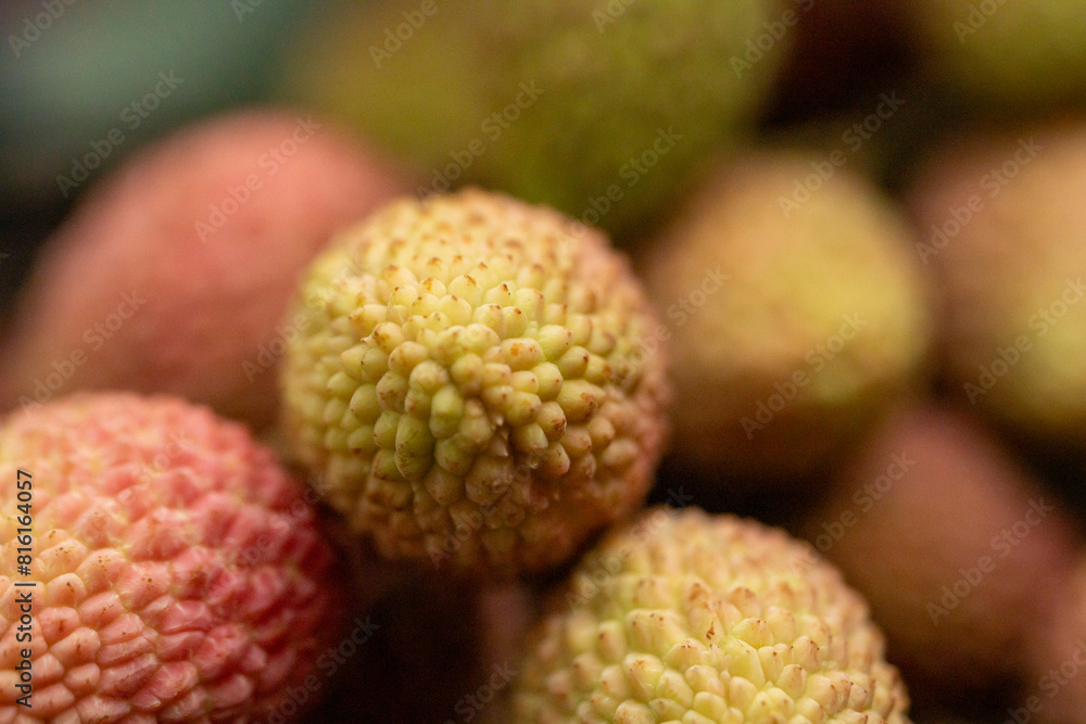Lychee is a monotypic taxon and the sole member in the genus Litchi in the soapberry family, Sapindaceae. It is a tropical tree native to South China, Malaysia, and northern Vietnam. The tree has been Lychee is a monotypic taxon and the sole member in the genus Litchi in the soapberry family, Sapindaceae. It is a tropical tree native to South China, Malaysia, and northern Vietnam. The tree has been