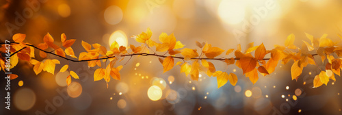 Beautiful Autumn Branch with Golden Leaves and Sunlight Bokeh Background