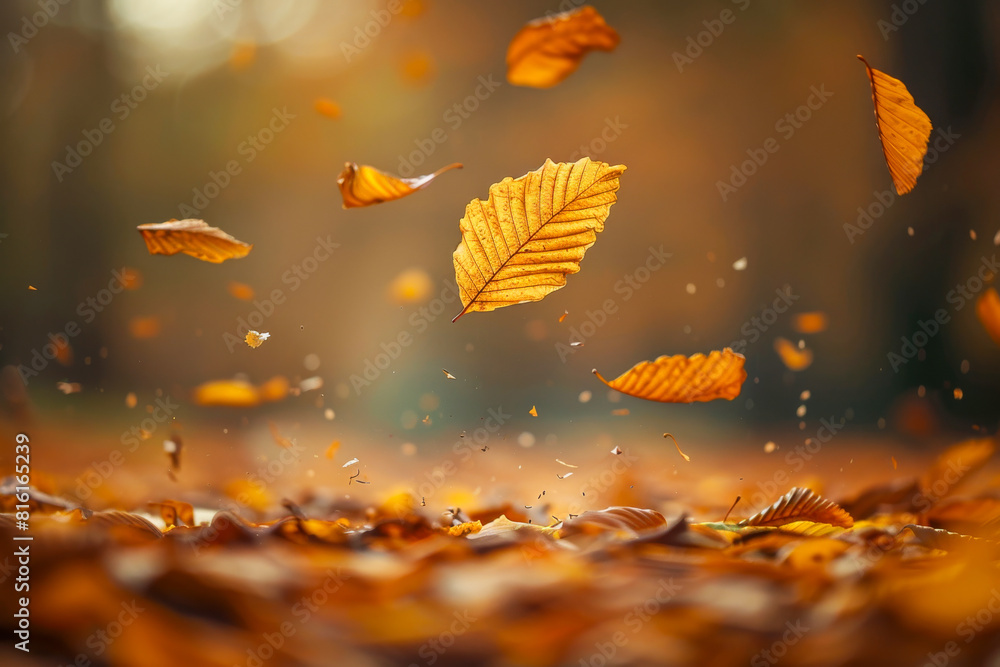 Autumn Leaves Falling in Forest with Golden Light and Bokeh Background Autumn Leaves Falling in Forest with Golden Light and Bokeh Background