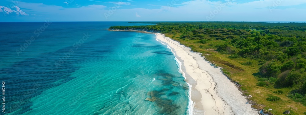 Obraz premium Aerial top view on sand beach, palm tree and ocean, summer vacation concept