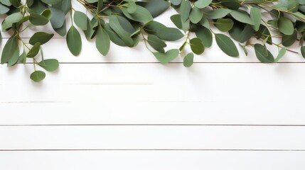 An artistic display of eucalyptus branches on a white backdrop, invoking a feeling of calmness and natural beauty