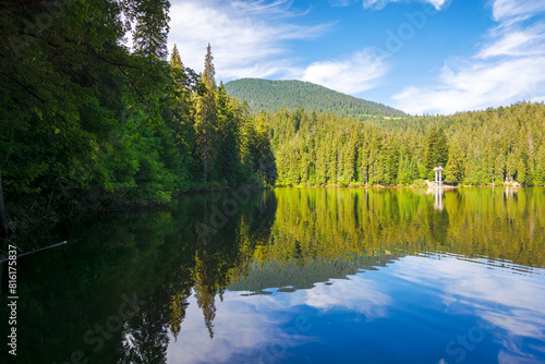 glacier lake of carpathian mountains in summer. outdoor nature scenery of synevyr national park on a sunny morning. spruce forest reflecting in calm water. popular travel destination of ukraine