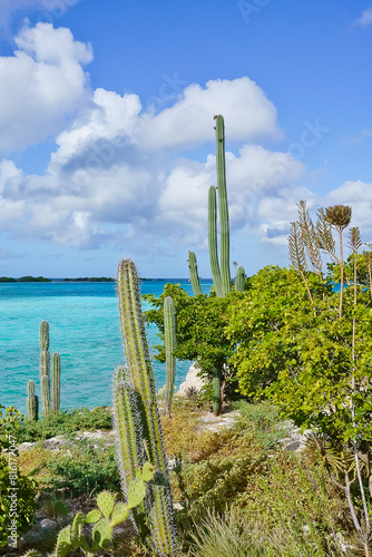 Aruba landscape, Pos Chiquito Beach Park 