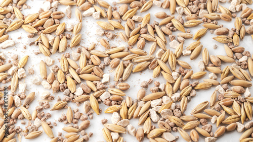 pile of prepared catnip seed mix,mucchio di preparato miscela di semi per erba gatta,macro close-up photo