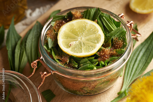 Preparation of ribwort plantain syrup for cough from fresh leaves and sugar