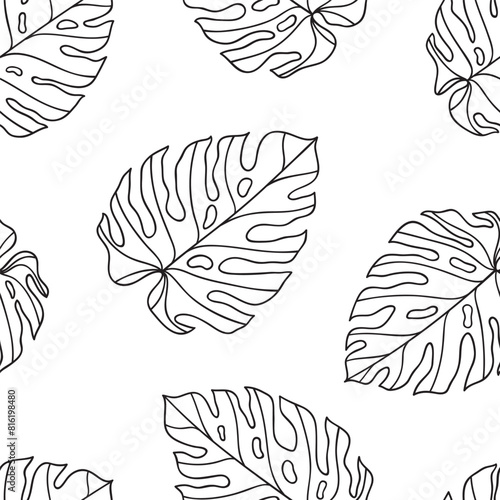 Canvastavla Monstera