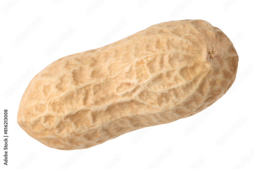 One fresh unpeeled peanut isolated on white