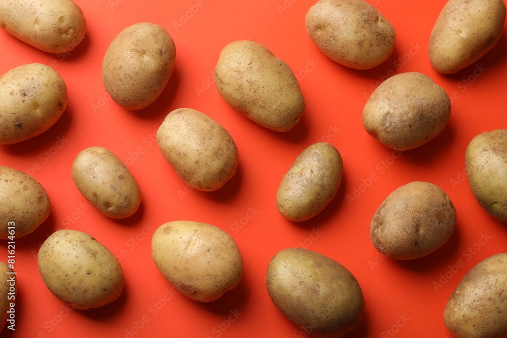 Many fresh potatoes on red background, flat lay Many fresh potatoes on red background, flat lay