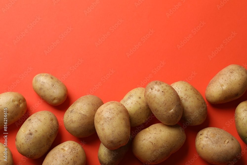 Many fresh potatoes on red background, flat lay. Space for text Many fresh potatoes on red background, flat lay. Space for text