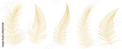 Fluffy twirled feather set, isolated Goose feathers realistic style, vector