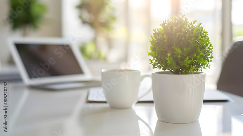 Close up view of simple workspace with laptop notebooks coffee cup and tree pot on white table with blurred office room background : Generative AI