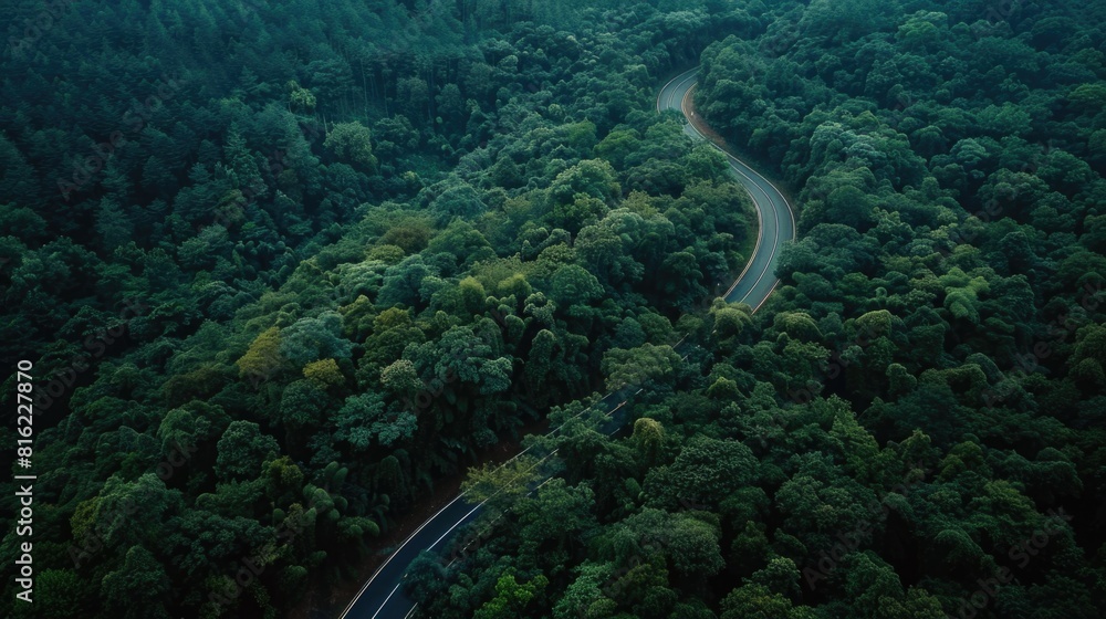 A winding road through a forest with trees on both sides A winding road through a forest with trees on both sides