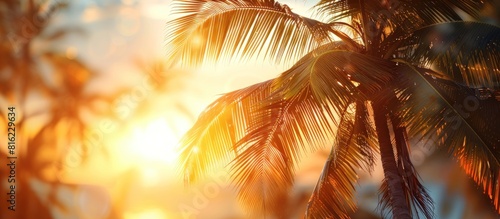 Palm trees on beach at sunset - sunset stock videos & royalty-free footage
